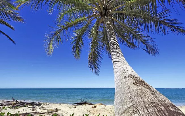 Sol, praia e muitas atrações fazem da Bahia um ótimo destino para as férias de janeiro