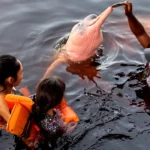 Tânia Rêgo/Agência Brasil