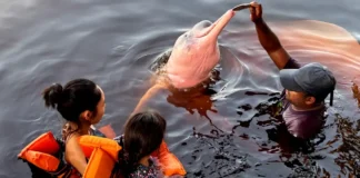 Tânia Rêgo/Agência Brasil